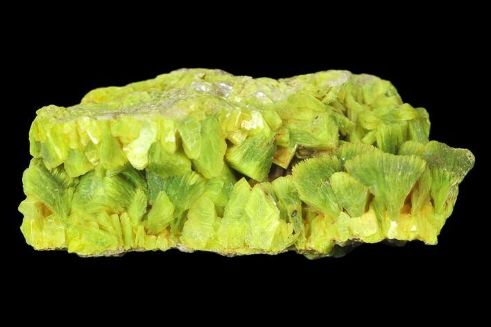 Yellow-Green Autunite Crystal Cluster - Hunan, China #147646